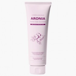 Маска для волосся Pedison Institute-Beaute Aronia Color Protection Treatment - 100 мл
