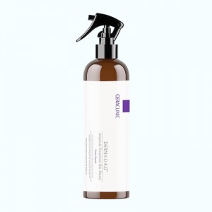 Спрей для волос DERMAID 4.0 Ampoule Treatment (No-Rinse) Protein Quench, CERACLINIC - 200 мл