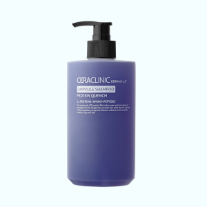 Купить оптом Шампунь для волос с протеином DERMAID 4.0 Ampoule Shampoo Protein Quench, CERACLINIC - 500мл