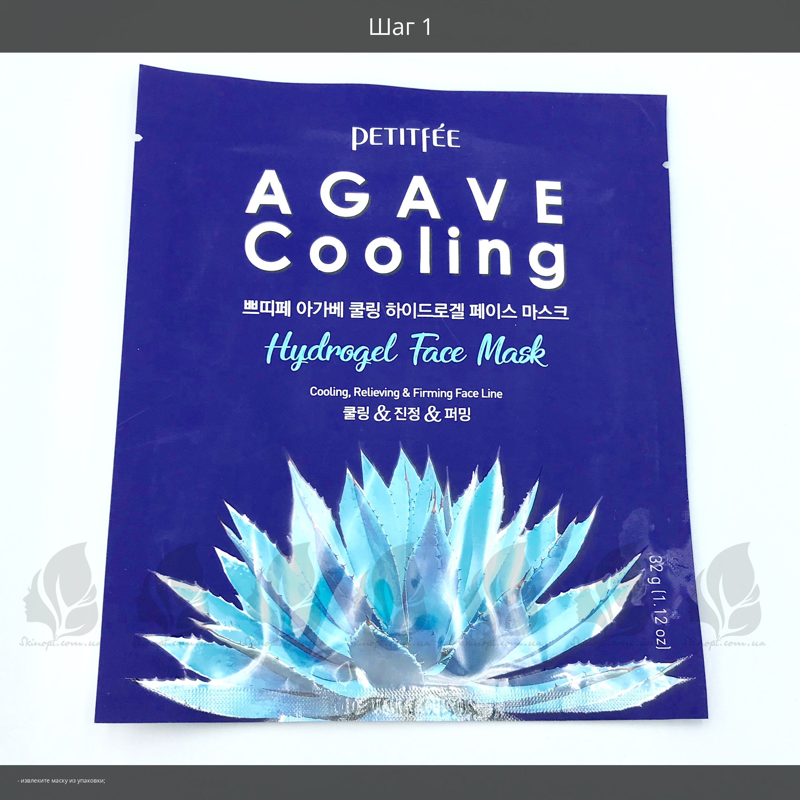 tequila agave pflanze kaufen Agave Tequilana, Blue Agave Americana, Century Plant